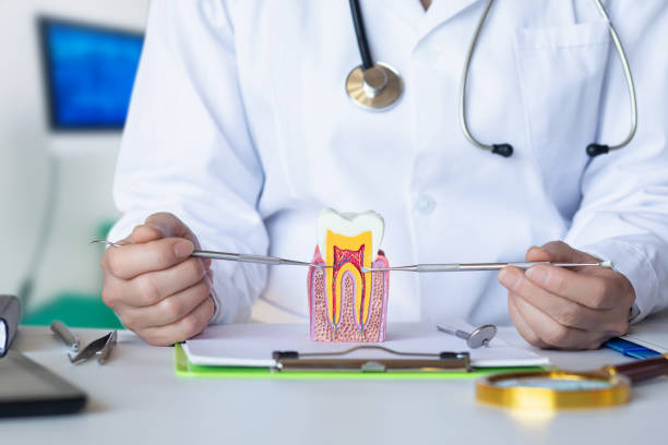 Best Tooth Pain Emergency Relief  in Colorado City, TX
